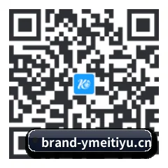 Apple 移动终端版 二维码